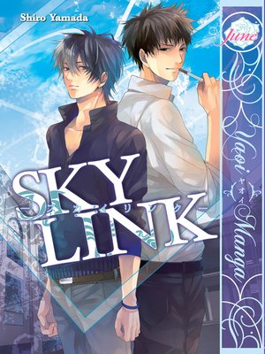 cover image of Sky Link